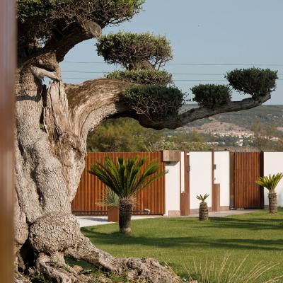Détails extérieurs de la Villa Miramar Maison d'hôtes Luxe Méditerranée Frontignan Sète Bassin de Thau 