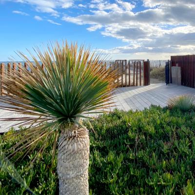 Détails extérieurs de la Villa Miramar Maison d'hôtes Luxe Méditerranée Frontignan Sète Bassin de Thau 